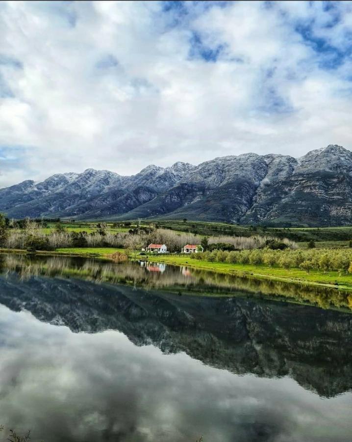 Fraaigelegen Farm - Home Of Adhara Evoo Tulbagh Ngoại thất bức ảnh