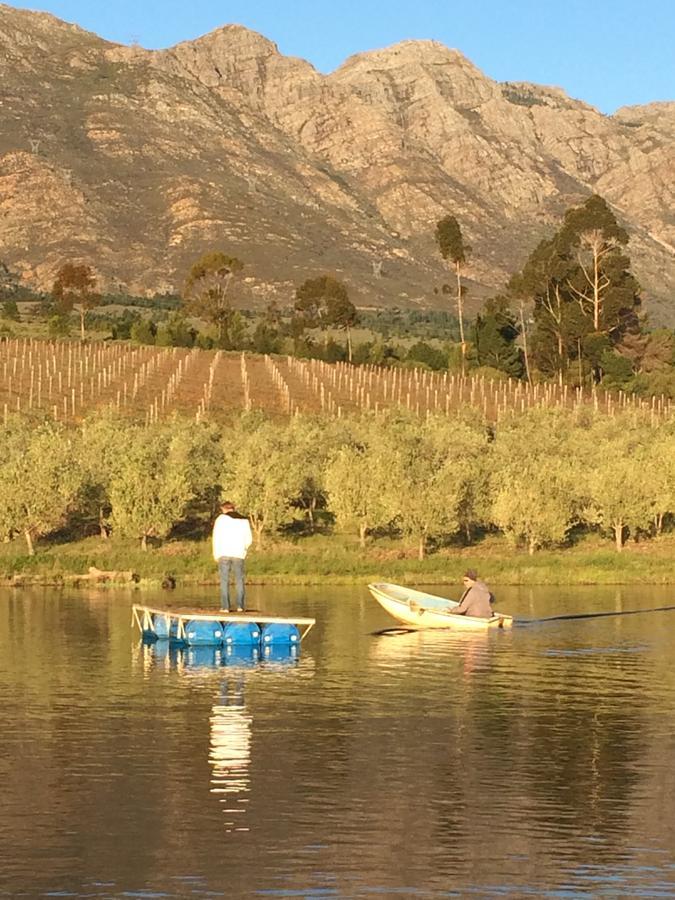 Fraaigelegen Farm - Home Of Adhara Evoo Tulbagh Ngoại thất bức ảnh