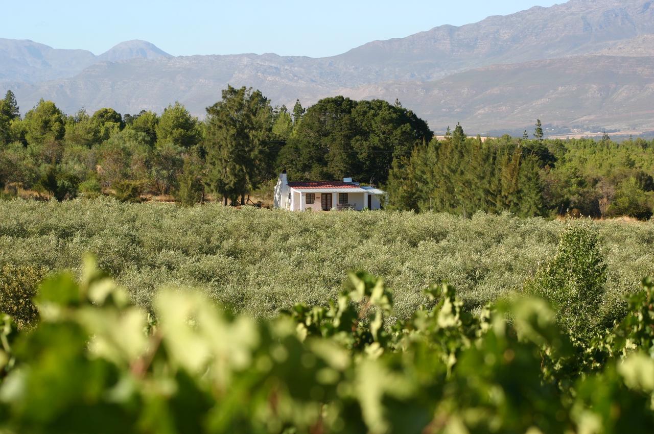 Fraaigelegen Farm - Home Of Adhara Evoo Tulbagh Ngoại thất bức ảnh