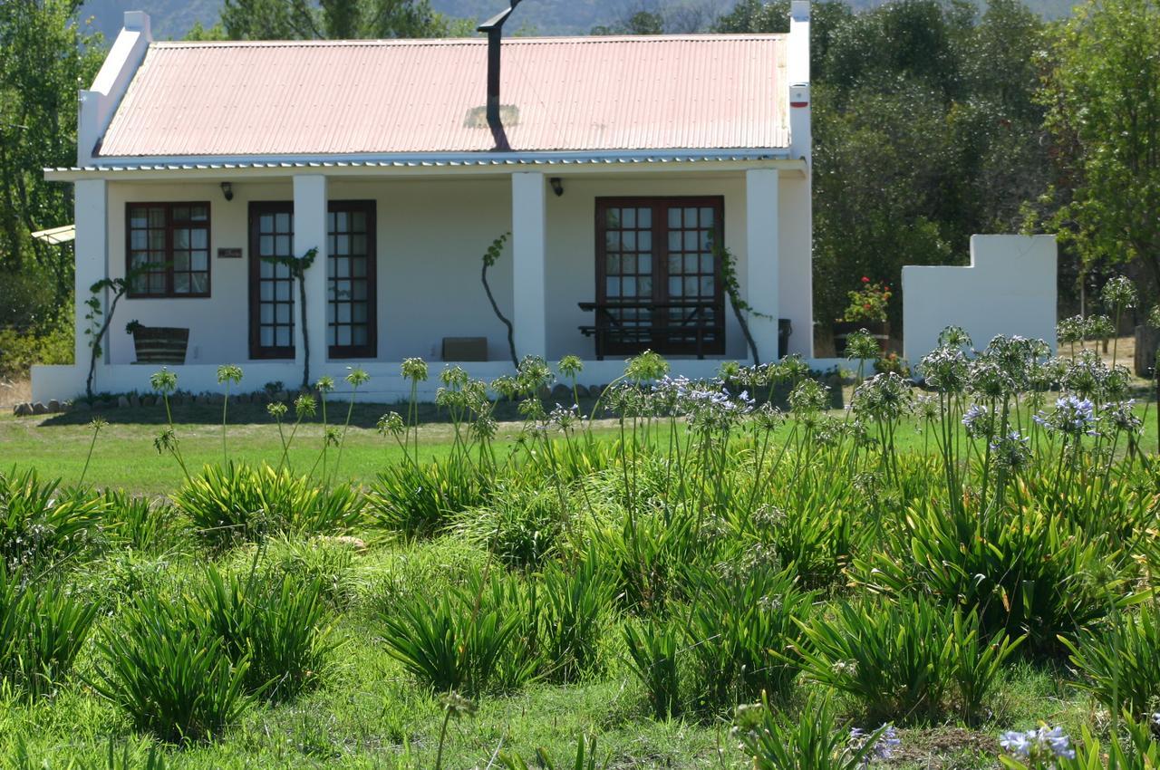 Fraaigelegen Farm - Home Of Adhara Evoo Tulbagh Ngoại thất bức ảnh