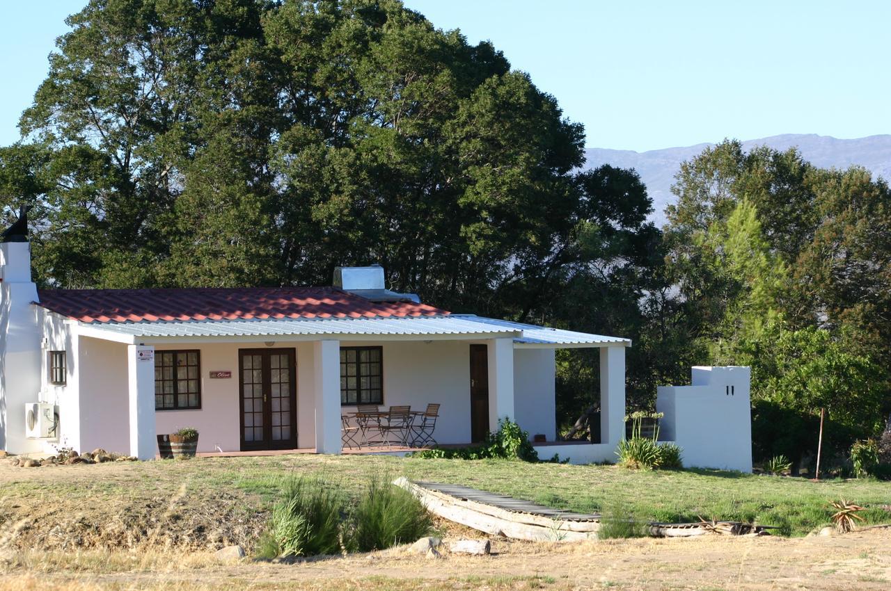 Fraaigelegen Farm - Home Of Adhara Evoo Tulbagh Ngoại thất bức ảnh