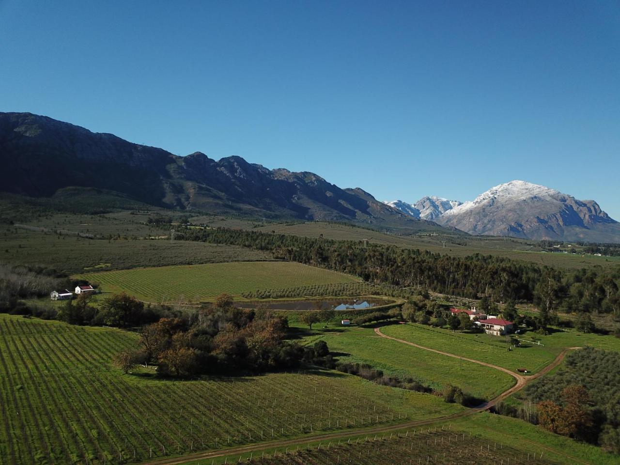 Fraaigelegen Farm - Home Of Adhara Evoo Tulbagh Ngoại thất bức ảnh